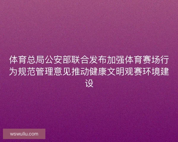 体育总局公安部联合发布加强体育赛场行为规范管理意见推动健康文明观赛环境建设